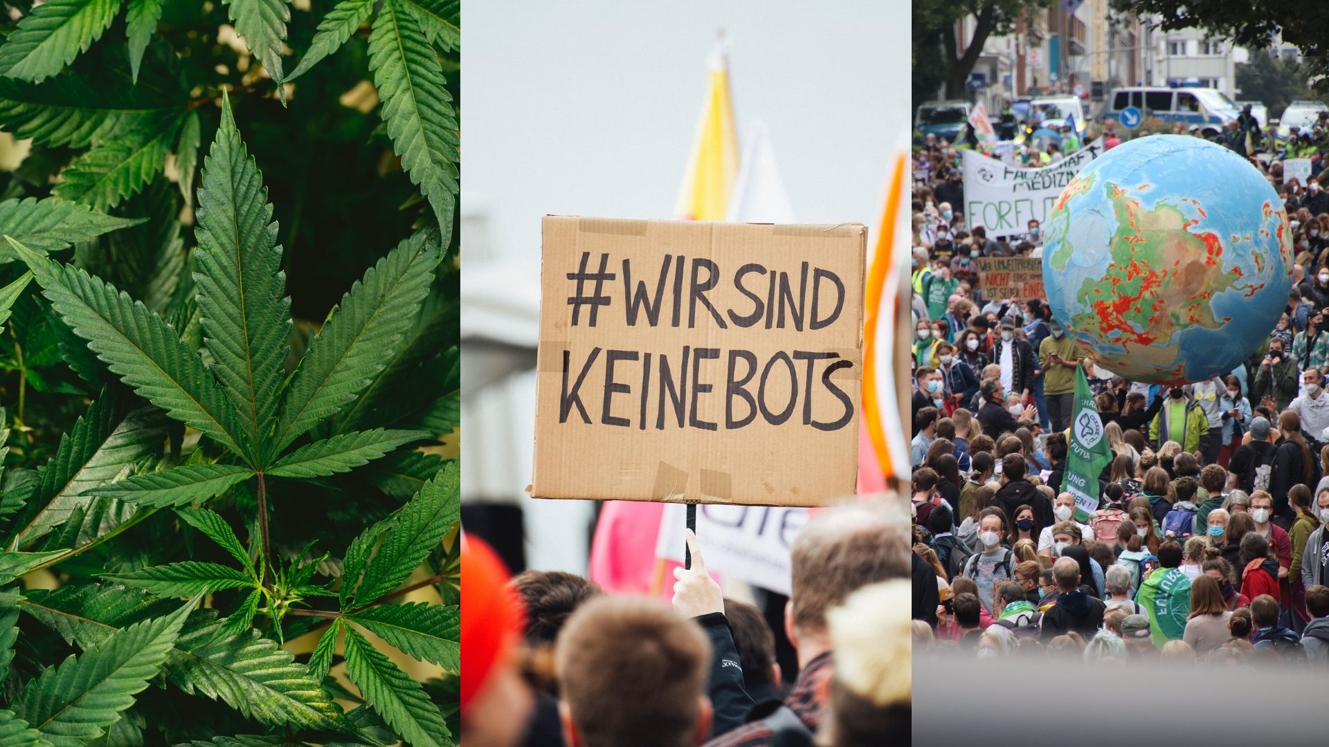 Das sagen die Aachener Bundestags-Kandidat:innen zur Cannabis-Legalisierung, Uploadfiltern und dem Klimawandel